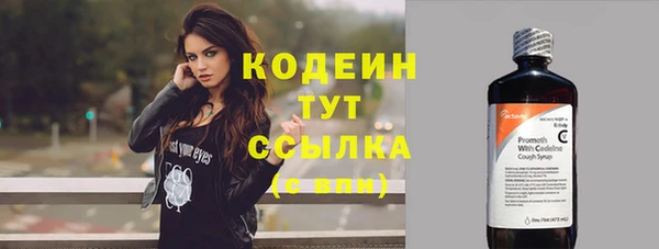 соль ск Вяземский
