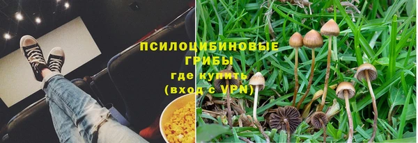 МДПВ Горнозаводск