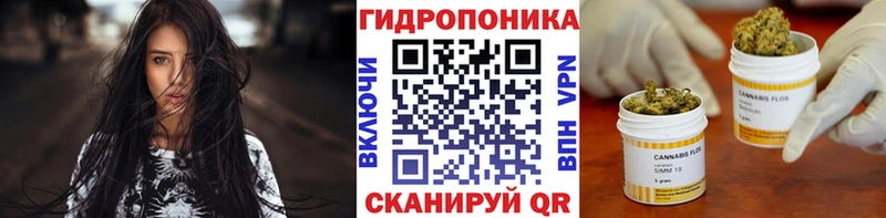 Бошки Шишки ГИДРОПОН  Очёр 